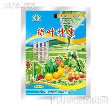 ����-�G�~��