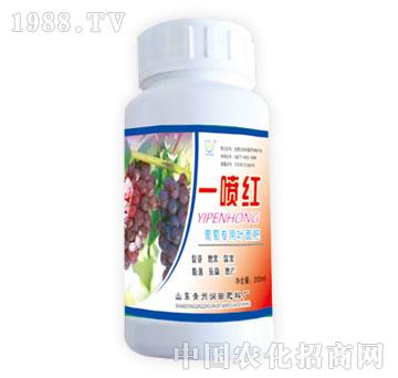 ��(r��n)��-һ���t