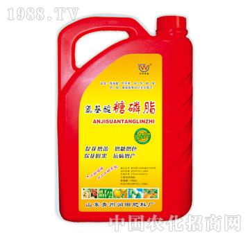 ����-����������֬