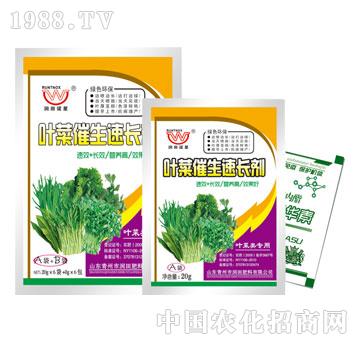 ��(r��n)��-�~�˴������L(zh��ng)��A+B