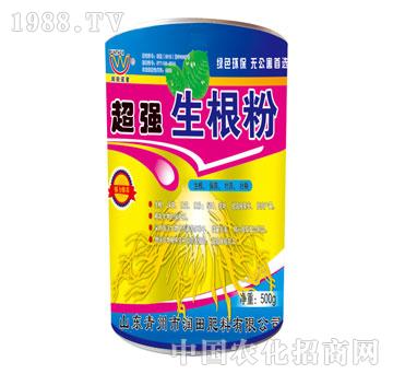 ����-����������