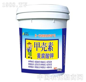 ����-�ך���20kg