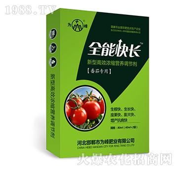 ȫ�ܿ��L(zh��ng)�����ь�(zhu��n)�ã�-���͸�Ч��s�I(y��ng)�B(y��ng)�{(di��o)��(ji��)��-���