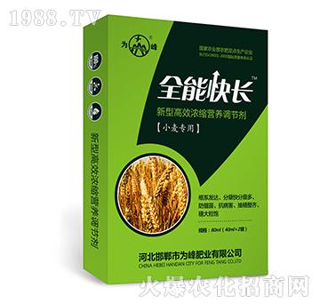 ȫ�ܿ��L(zh��ng)��С����(zhu��n)�ã�-���͸�Ч��s�I(y��ng)�B(y��ng)�{(di��o)��(ji��)��-���