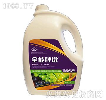 ȫ���ֶ�-���ь�(zhu��n)��-���