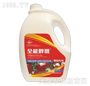 ȫ���ֶ�-����(sh��)��(zhu��n)��-���