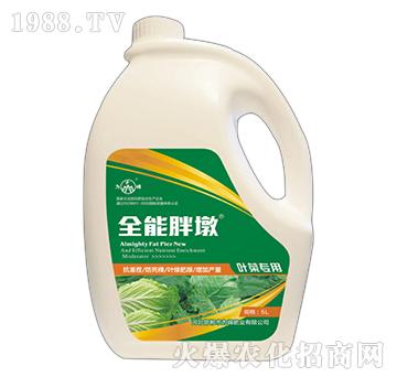 ȫ���ֶ�-�~�ˌ�(zhu��n)��-���