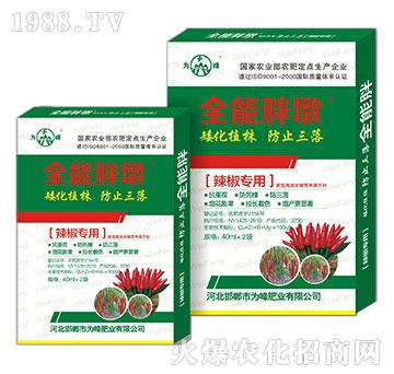 ȫ���ֶ�-������(zhu��n)��-���