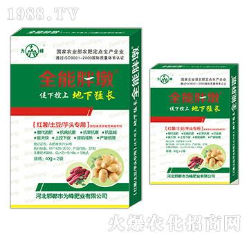 �t�������������^��(zhu��n)��-ȫ���ֶ�-���