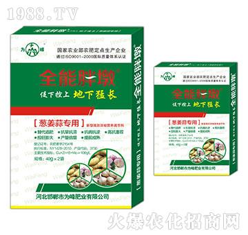 �[���⌣(zhu��n)��-ȫ���ֶ�-���