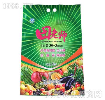 ����ֲ�����Ԫ��ˮ�ܷ���16-8-30+3-���ώ�-һ�Ļ���