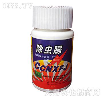 20%���x��-����