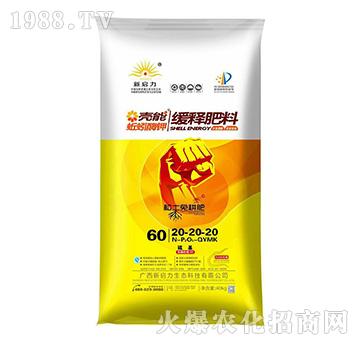 ��ጷ���20-20-20-�������ø�-����