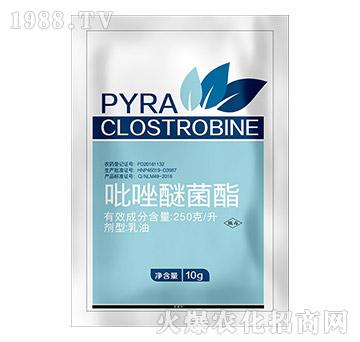 �����Ѿ���-�h(yu��n)Ҋ(ji��n)�r(n��ng)�I(y��)