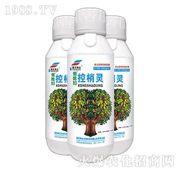 ��⛸��׿����`-��ϱ�D-���r(n��ng)˹�_