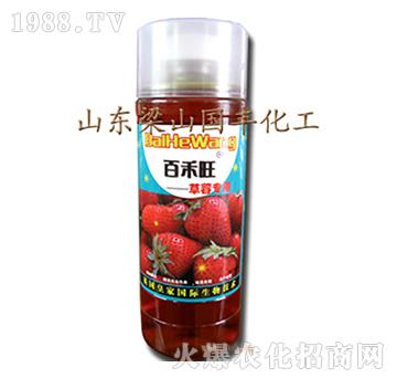 ��ݮ��(zhu��n)���~���-��ɽ��(gu��)�S