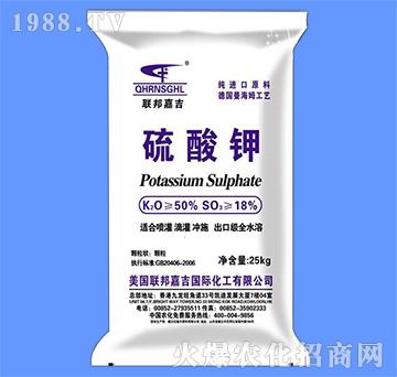 �����-(li��n)��μ�