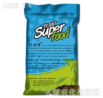 �~(y��)���׷���-���º���