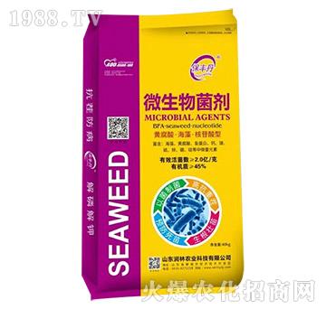 ΢�������-���S��-��(r��n)���r(n��ng)�I(y��)