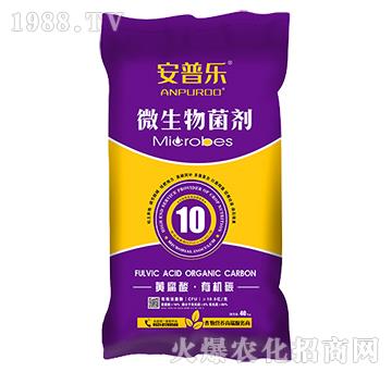 10�|ÿ���S�����ЙC(j��)̼΢�������-���՘�-�f�����B(t��i)