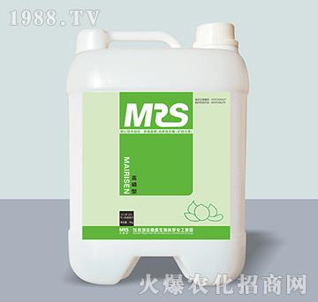 �����͛_ʩ��13-39-13+TE-�~�ɭ