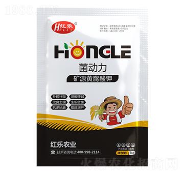 �VԴ�S�����-������-�t��