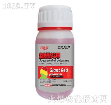 �Ǵ��-��(l��)��