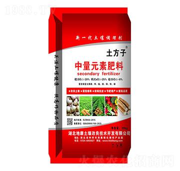 ����Ԫ�ط���-������-�ؿ�