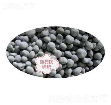 ���}�V⛷�-�Z�M�}(c��ng)