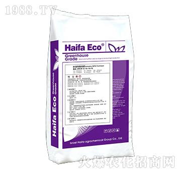 ˮ���ԏͺϷ�19-19-19+TE-�����S-����