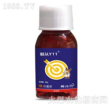 �K�ƽ�U��-�Ə�Y11-��ֲ��