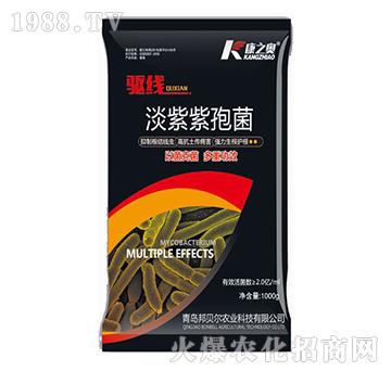 �������߾�-򌾀-��֮�W��1000g��-��ؐ��