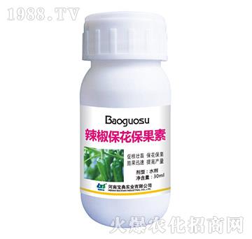 ��������������-���䌍�I(y��)