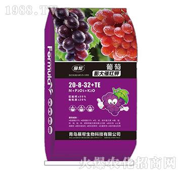 �������߼t�20-8-32+TE-չ������