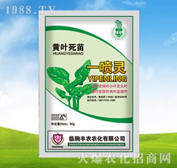 �S�~����һ���G-�S�r�r��