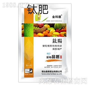 ��(y��ng)-��Ƶ�-��̩�ʘI(y��)