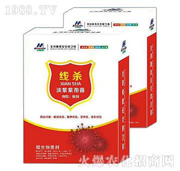 �������߾�-����-��ķ˹��