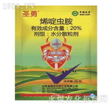 20%ϩ��x(ch��ng)��-ʥ��-���r(n��ng)(li��n)��