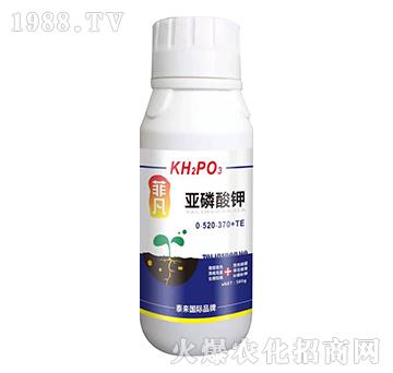 �������0-520-370+TE-�Ʒ�-̩��(l��i)