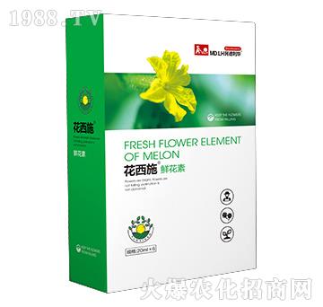 �r����-����ʩ-������A