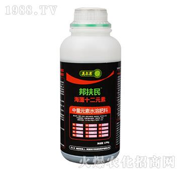 ����ʮ��Ԫ��-�����-Ӣ����