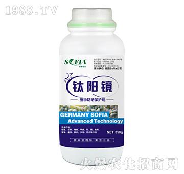 ֲ������o(h��)��-��(y��ng)�R-���Ɓ�