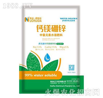 �}�V���\-�Z�J�_(d��)-��������