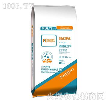 ������}��15-5-35+TE-�Z�J�_(d��)-��������