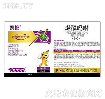 40%ϩ��������100�ˣ�-�P�G-̩�̻���