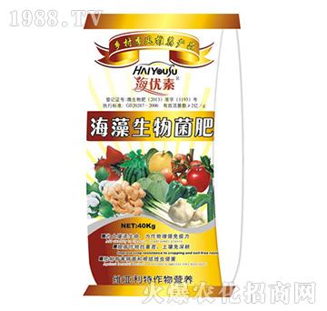 �����������-�S������