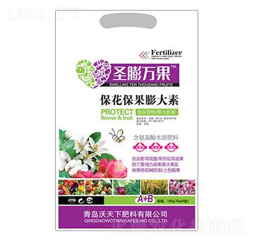 �������������-ʥ���f��-������