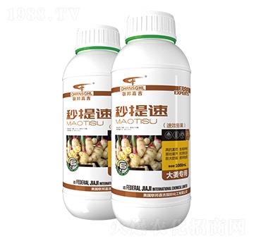 �󽪌�(zhu��n)����Ч�����-������-(li��n)��μ�