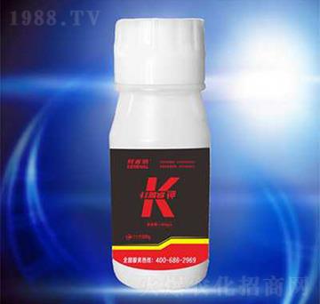 �Ǵ��-��{