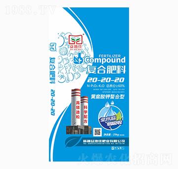 �S����������͏�(f��)�Ϸ���20-20-20-��ؼ�